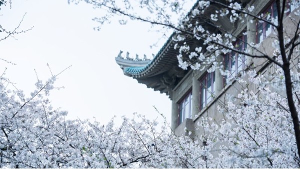 武汉<i style='color:red'>多普勒流量计厂家</i>加油！相约明年3月樱花盛开之时